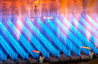 Botcheston gas fired boilers